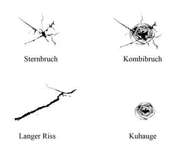 Steinschlagschäden